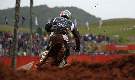 David Philippaerts