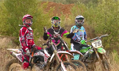 Birdfish´s „Rude Boyz“